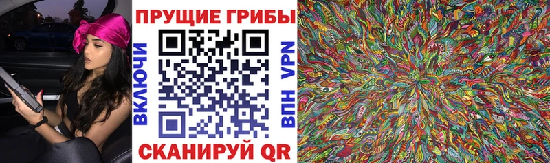 гидра сайт  Тимашёвск  Галлюциногенные грибы Cubensis  где продают наркотики 